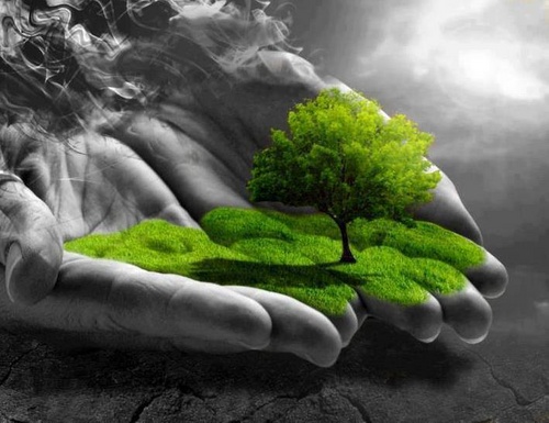 Mẫu bài luận tiếng Anh về chủ đề môi trường Mẫu bài luận tiếng Anh về chủ đề môi trường