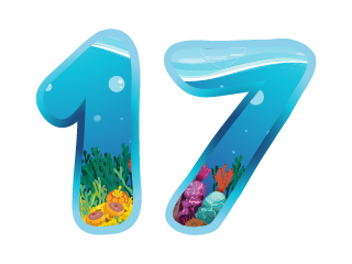 PRACTICE 17