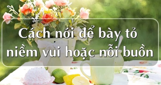 Cách nói để bày tỏ niềm vui và nỗi buồn trong tiếng Anh