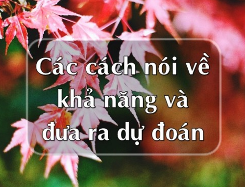 Các cách nói về khả năng và đưa ra dự đoán trong tiếng Anh Các cách nói về khả năng và đưa ra dự đoán trong tiếng Anh