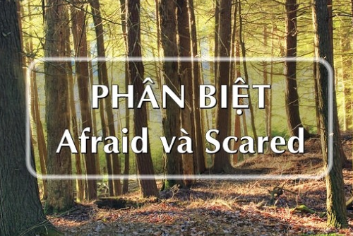 Cách phân biệt Afraid và Scared Cách phân biệt Afraid và Scared