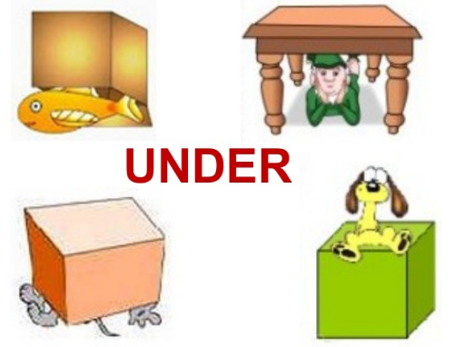Một số từ vựng tiếng Anh đi kèm với “under”