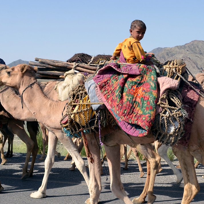nomadic 