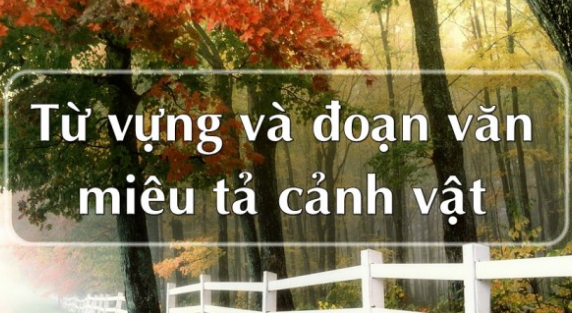 Từ vựng và đoạn văn tiếng Anh miêu tả cảnh vật
