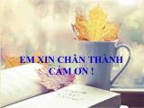 Các mẫu câu nói cảm ơn và đáp lại lời cảm ơn bằng tiếng Anh Các mẫu câu nói cảm ơn và đáp lại lời cảm ơn bằng tiếng Anh
