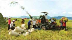 Bài viết tiếng Anh về cuộc sống ở nông thôn Bài viết tiếng Anh về cuộc sống ở nông thôn