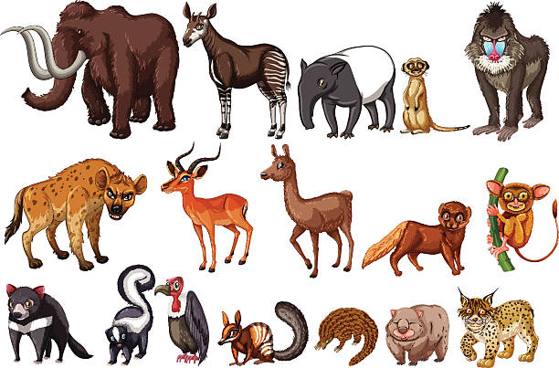 Unit 6: Endangered species