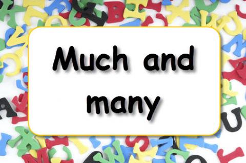 Cách sử dụng hai tính từ many và much trong tiếng Anh