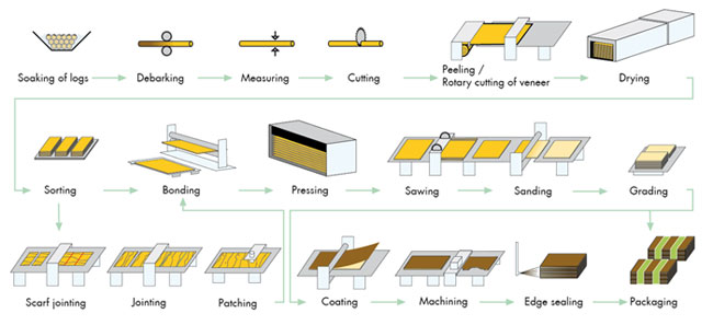 Từ vựng tiếng Anh ngành gỗ (phần 1)