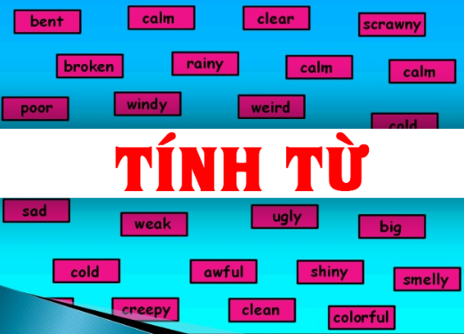 Tìm hiểu về tình từ trong tiếng Anh