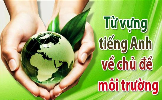 Từ vựng tiếng Anh chủ đề môi trường đầy đủ nhất