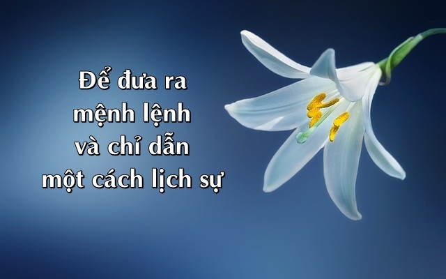 cau-menh-lenh-trong-tieng-anh