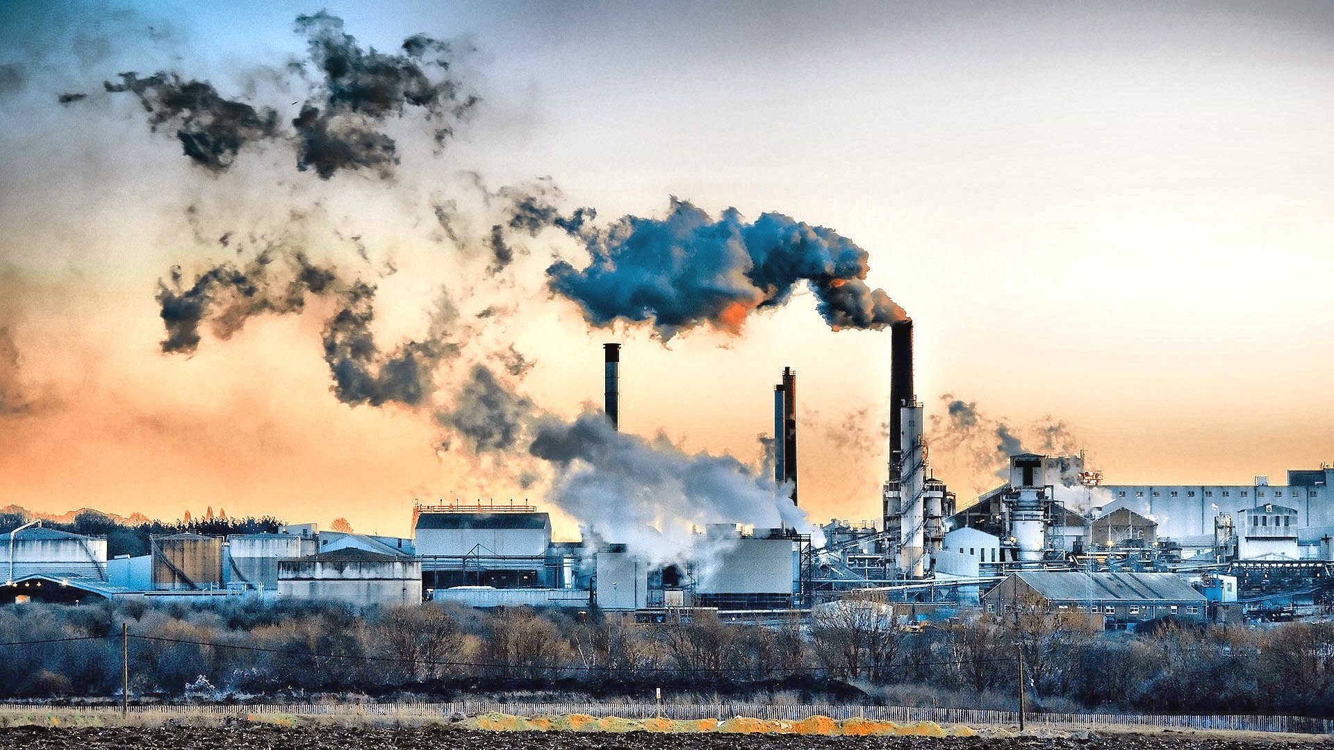 Unit 7: Pollution
