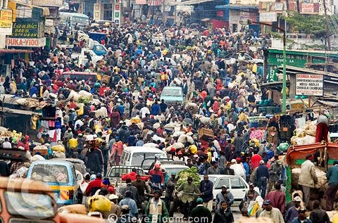 Unit 12: An overcrowded world 